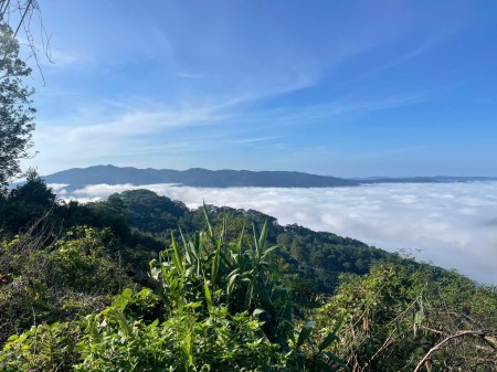 Bán gấp nhà view mây Tp. Đà Lạt, full thổ cư 341m² (thực tế hơn 500m²)