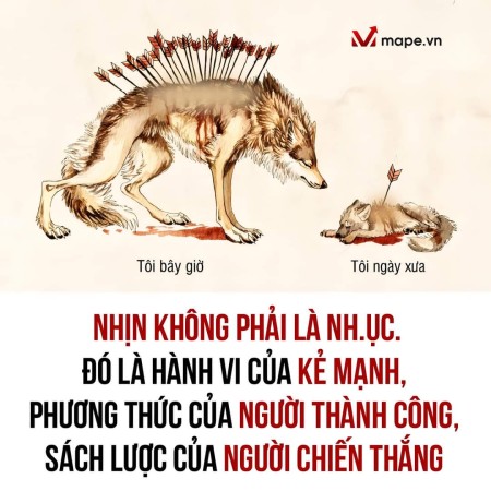Vũ Cao Khương