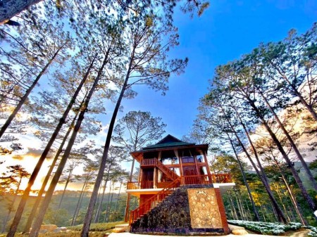 Đất Lạc Dương Đà Lạt giá rẻ, sổ riêng xây dựng tự do, đường nhựa oto tận nơi, dân cư đông