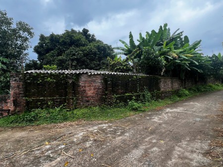 Bán gấp 629m2 đất Thôn Yên Lạc 2, Xã Hoàng Vân, Huyện Hiệp Hòa, Bắc Giang,