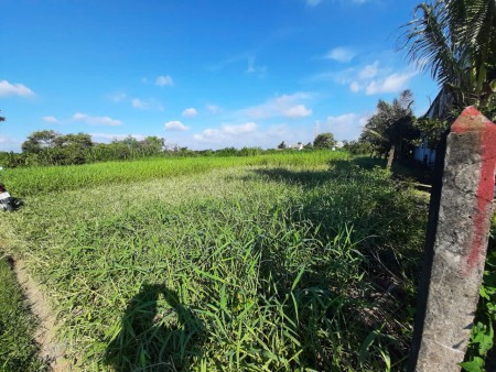 Đi đến slide 9