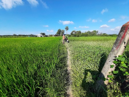 Đi đến slide 8