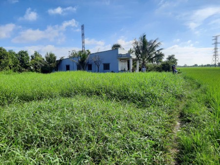 Đi đến slide 7