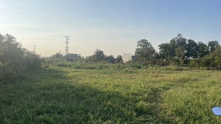 450tr có ngay 1,3 công đất thổ, vườn gần TL864 Tăng Hòa, Gò Công Đông, Tiền Giang