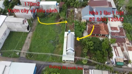 Tổng DT 252m2 (6x42) full thổ cư. Nhà 1 lầu 1 trệt DT sàn 120m2 còn lại 170m2 làm vườn và tiểu cảnh