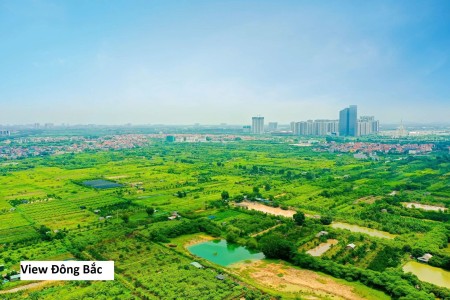 Đi đến slide 6