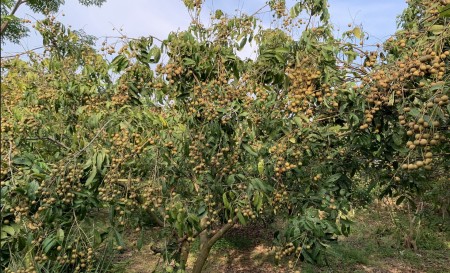 Đi đến slide 14