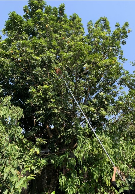 Đi đến slide 17