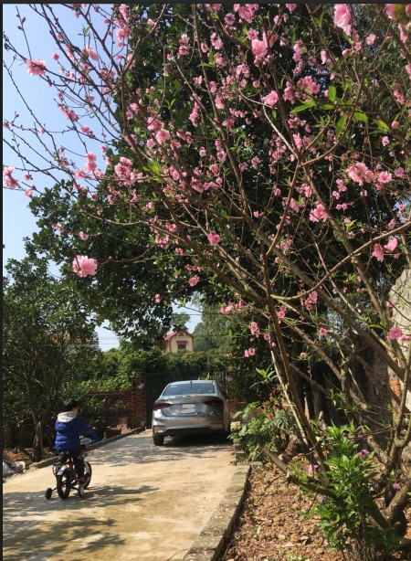 Đi đến slide 20