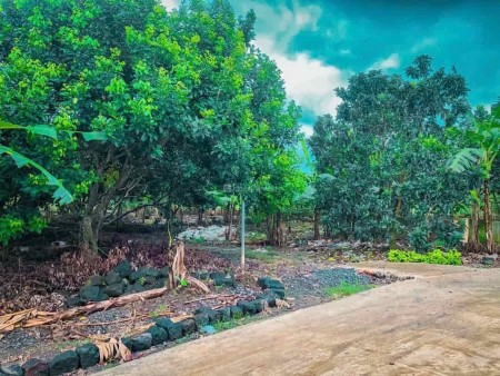 ĐẦU TƯ ĐẤT NHÀ VƯỜN GẦN CHỢ, TRƯỜNG HỌC, NHÀ THỜ TẠI ĐỒNG NAI