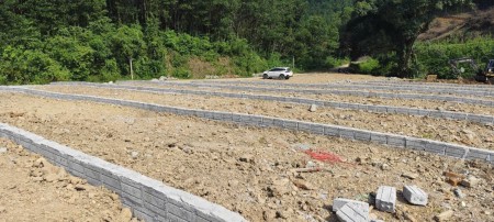 Đi đến slide 8