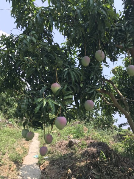 Đi đến slide 9