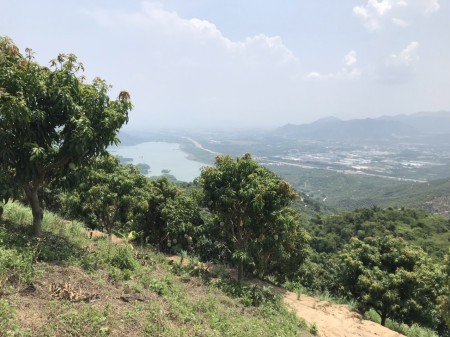 Đi đến slide 6