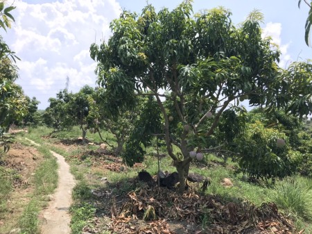 Đi đến slide 4