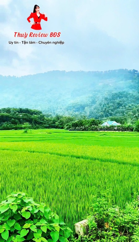 Bán đất Sóc Sơn, sát KHU NGHỈ DƯỠNG 5sao, du lịch HỒ CẦU BÃI, 3tr - THÙY BẮC SƠN