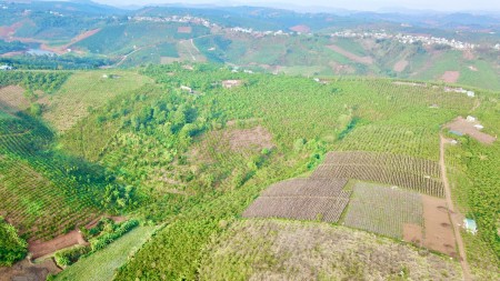 6600m2 đất Tân Thượng 2mt đường ô tô gầm cao giá 130tr/sào