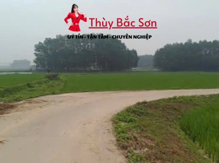 Bán đất Sóc Sơn, đất thổ cư, sẵn sổ, gần vành đai 5, nhỉnh 2tr - THÙY BẮC SƠN