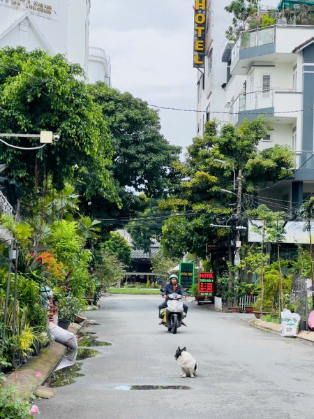 Đi đến slide 2