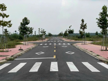 Đi đến slide 7