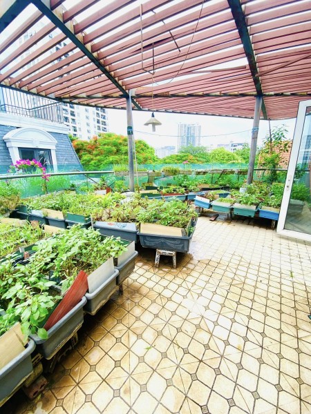 CẦN BÁN BIỆT THỰ SÂN VƯỜN ĐẲNG CẤP DỊCH VỌNG CẦU GIẤY 268M 4TẦNG FULL NỘI THẤT 72TỶ