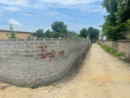 Đi đến slide 7