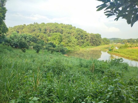 Đi đến slide 12