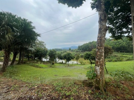Đi đến slide 11