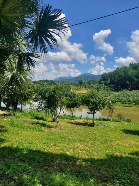 Đi đến slide 10