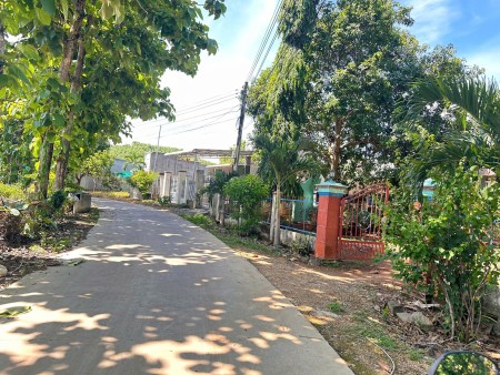 Cấn bán gấp đất vườn 1000m2 giá mềm thương lượng