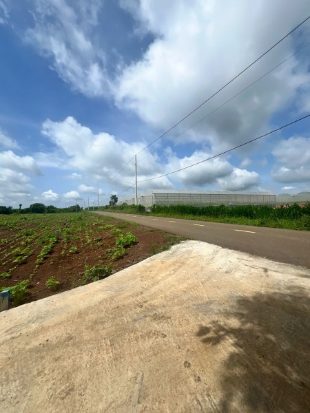 Cần bán nhanh lô đất 198m2 mặt tiền đường nhựa SHR tại xã Phước Long Thọ huyện Đất Đỏ