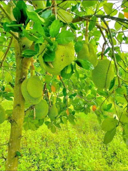 Đi đến slide 2