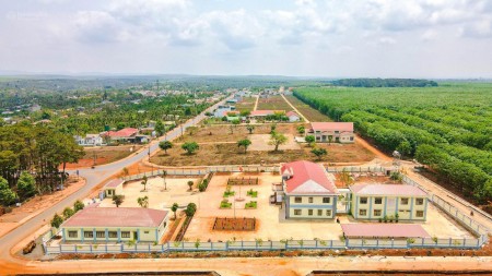 Đi đến slide 6