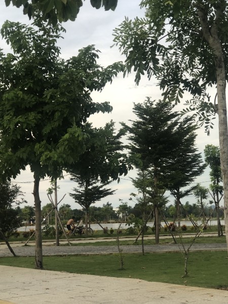 Đi đến slide 2