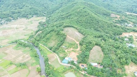 Bán đất rừng sản xuất, diện tích từ 60-200Ha. Tại Kim Bôi - Hòa Bình