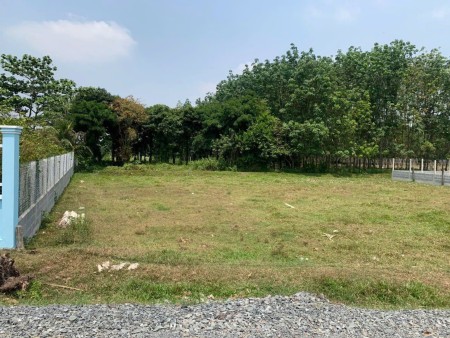 MỞ QUÁN ĂN THUA LỖ NÊN CẦN BÁN GẤP 1640M2 ĐẤT, NGAY KCN, ĐÔNG DÂN, ĐƯỜNG NHỰA 24M. GIÁ 230 TRIỆU