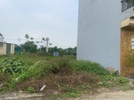 Chính chủ cần bán lô đất tuyệt đẹp tại Đồng Quang quốc Oai giá 4,x tỷ