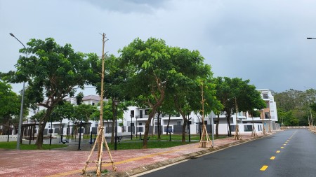 Đi đến slide 8