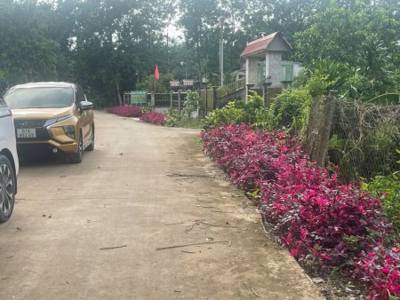 Chính chủ cần bán lô đất ngay trạm dừng chân An Bình, Phú giáo Bình Dương, sổ sẵn công chứng ngay.