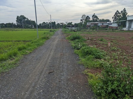 Bán nền đất thổ cư cách QL 1A chỉ 300m ngay tại Xuân Phú - Xuân Lộc