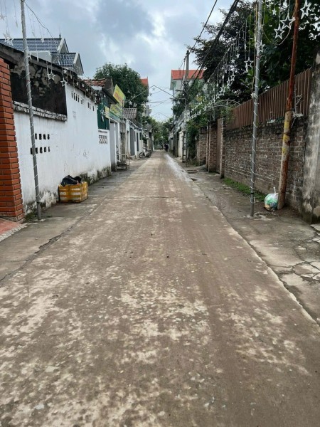 Chính chủ cần bán lô đất siêu đẹp tại Ninh Sở, TT, HN, Dt 43.5m mt cân hậu 5m, đường 3m