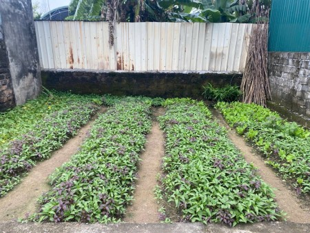 Chính chủ cần chuyển nhượng lô đất tại Xâm Xuyên, Hồng Vân, TT, Dt 40.8m, mt cân hậu 6.85m