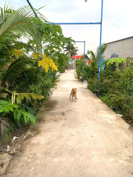 Đi đến slide 8