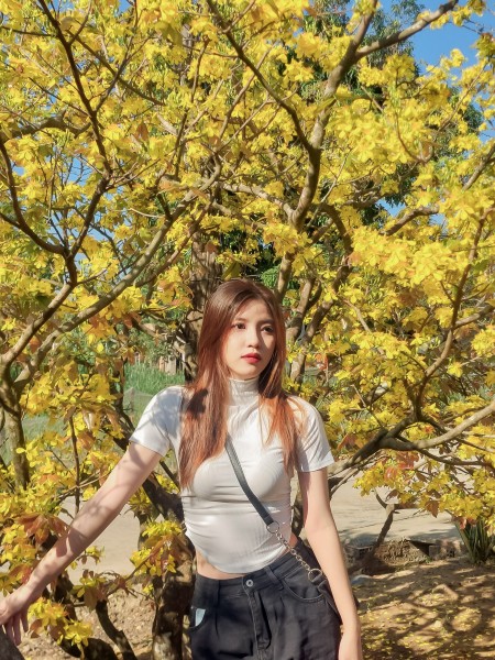 Mỹ Liễu