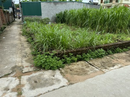 Bán đất Do Hạ, Tiền Phong, Mê Linh, HN, lô góc hai mặt thoáng, DT 82m, giá 2,38 tỷ.
