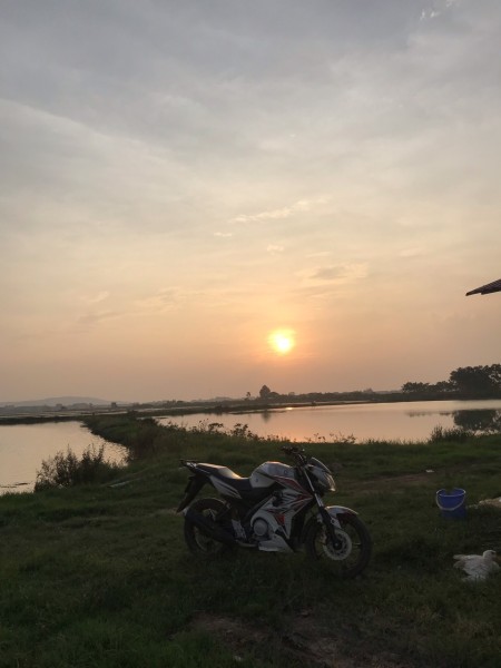 Trần Tuấn Thảo
