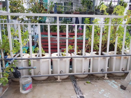 Đi đến slide 10