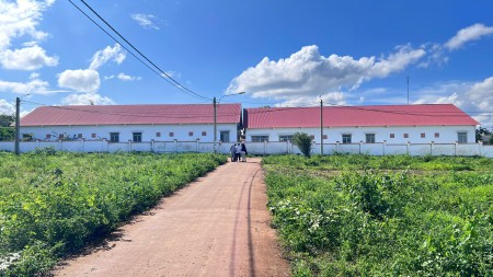 Đi đến slide 5