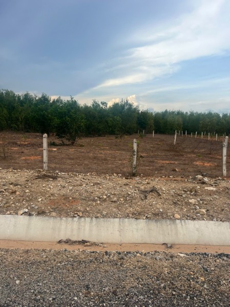 Giá siêu ngộp cho những khách hàng đang săn giá rẻ 412tr(200nghin/m2) 2.063,8m2 ngay biển Bàu Trắng