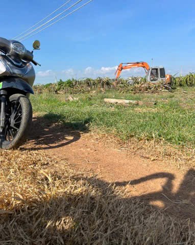 Bán nhanh lô đất vườn ven biển Bình Thuận 2000m2 giá chỉ 900 triệu, SHR.