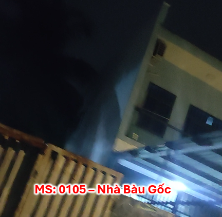 Bán nhà đường Bàu Gốc Tân Kiên Bình chánh